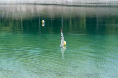AR_03448-Medium