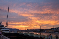 IMG_3172-Medium