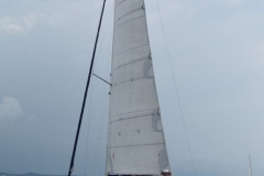 Image00042-Large