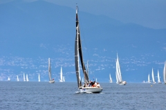 Image00139-Large