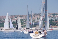 fium-110