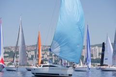 fium-26