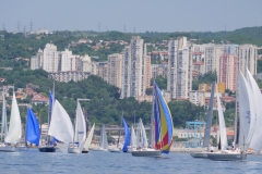fium-28