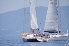 fium-49