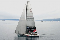 D11